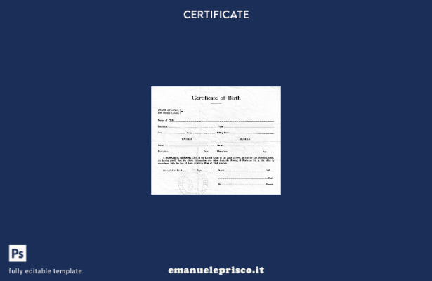 modello di certificato di nascita del tribunale distrettuale dell'Iowa degli Sta